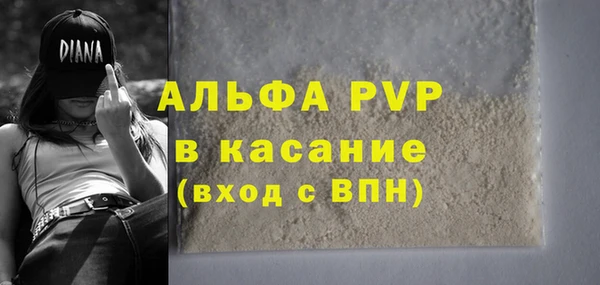 мяу мяу мука Аркадак