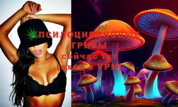 мяу мяу мука Аркадак