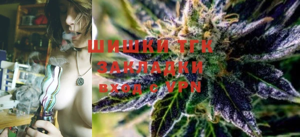винт Армянск