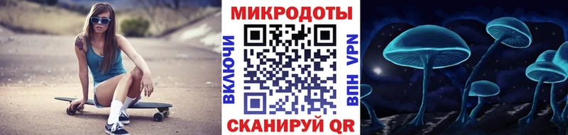 Псилоцибиновые грибы Psilocybe  Сосновый Бор 